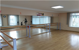 Modern Sahne salon 2
